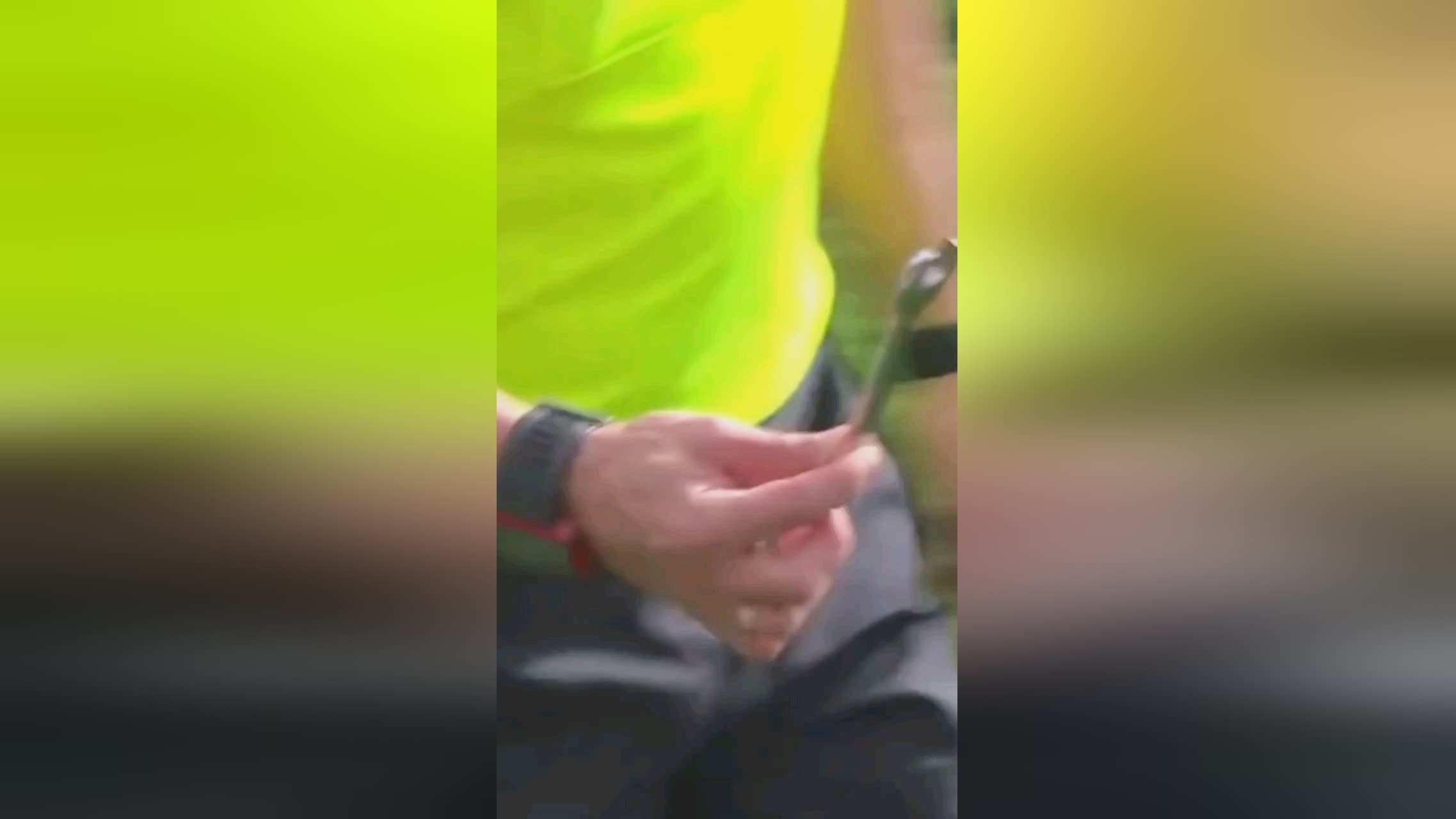 彩表现在